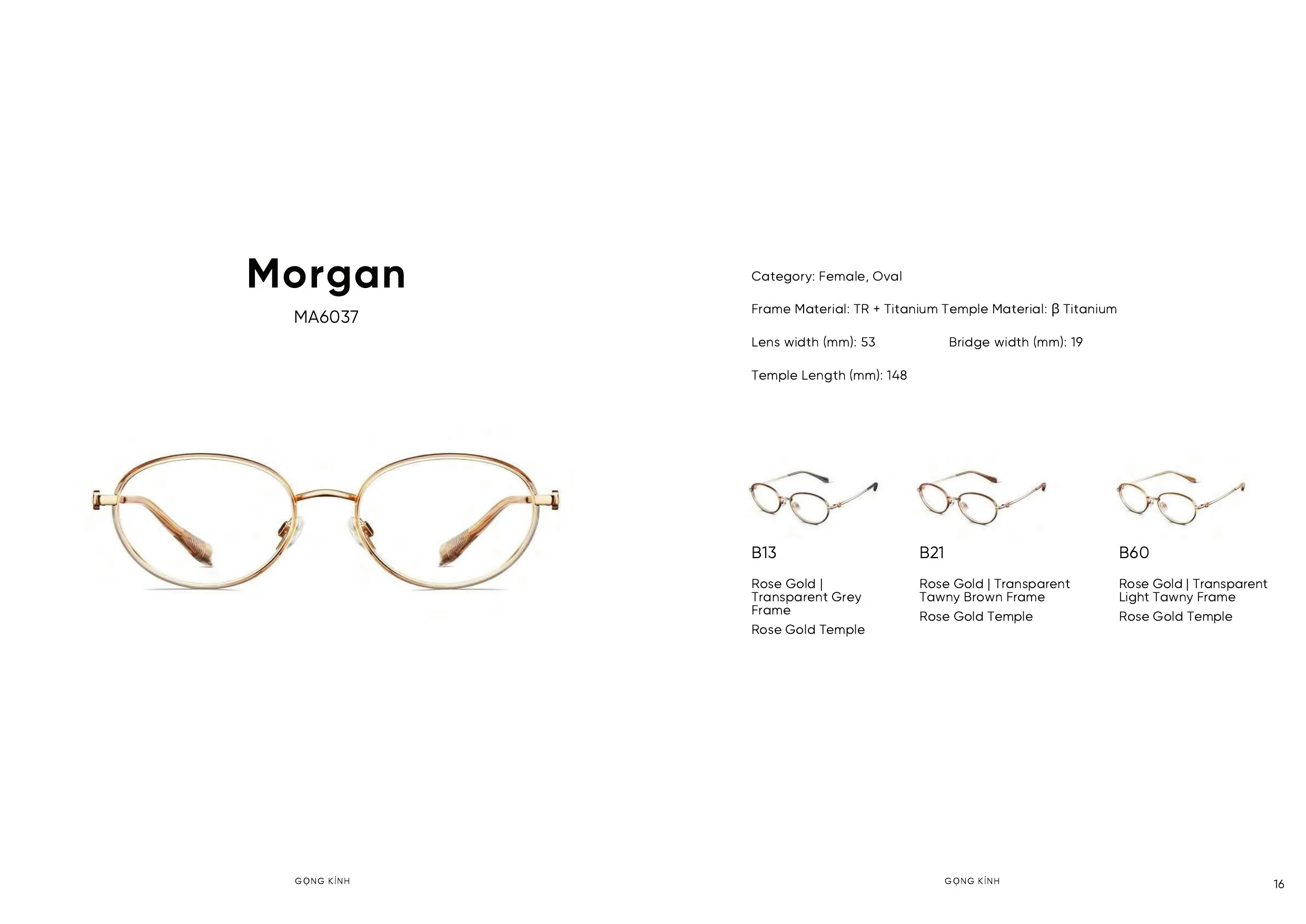 Trang catalogue Molsion SS26 số 17 — gọng kính Xuân/Hè 2026 tại Mắt Kính Ánh Sáng Việt