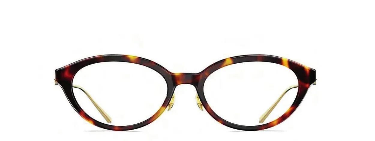 Courtney MO3005 — gọng Molsion SS26